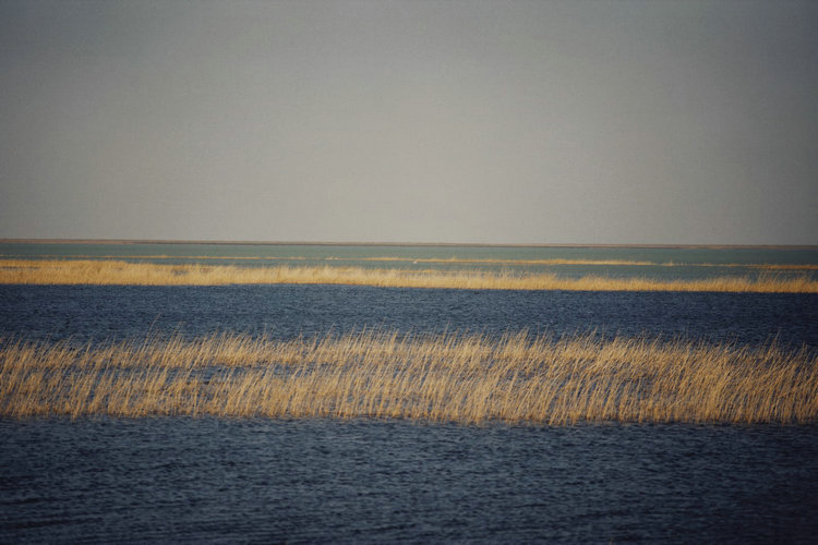 多參數(shù)水質(zhì)分析儀 多參數(shù)水質(zhì)分析儀