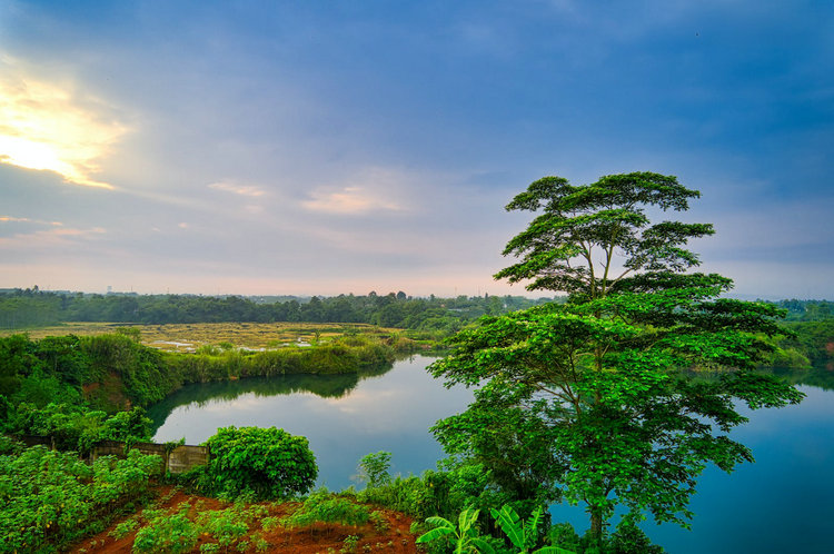 總錳測量儀 總錳測量儀
