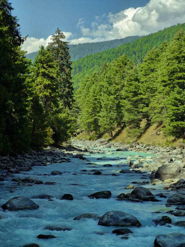 1731648378610054.jpg pexels-faizanmeer-28888185.jpg