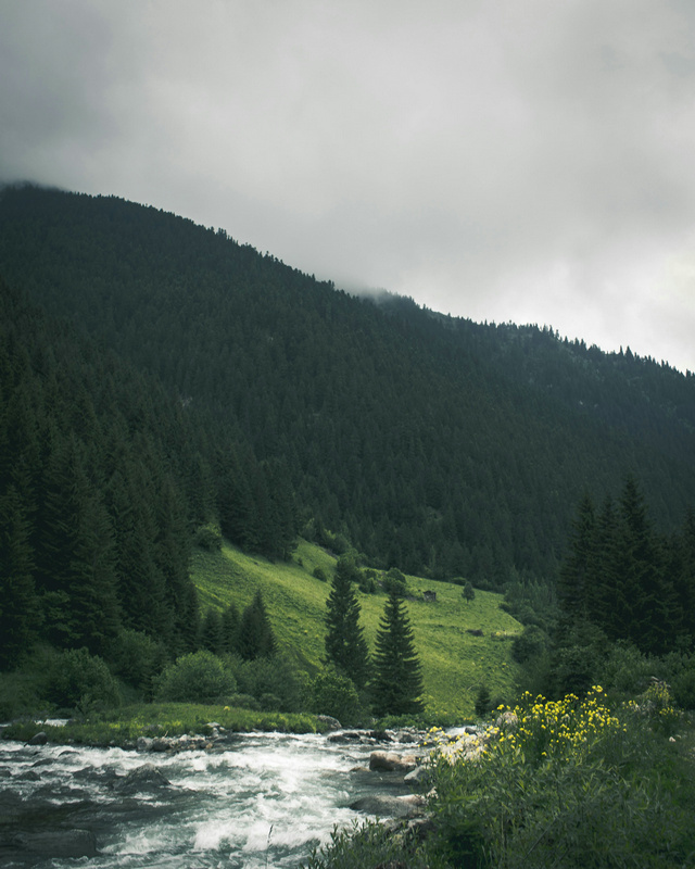 總氮在線監(jiān)測(cè)儀 總氮在線監(jiān)測(cè)儀